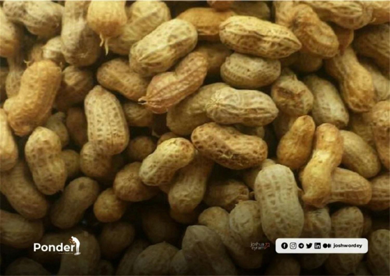 Personal Branding — Lessons from boiled groundnuts